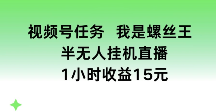 视频号任务，我是螺丝王， 半无人挂机1小时收益15元【揭秘】-最全资源库