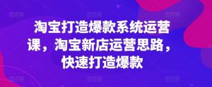 淘宝打造爆款系统运营课，淘宝新店运营思路，快速打造爆款-最全资源库