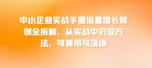 中小企业实战手册流量增长案例全拆解,从实战中沉淀方法,可复用可落地-最全资源库