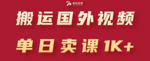 搬运国外视频，引流创业粉，单日卖课1K+【揭秘】-最全资源库