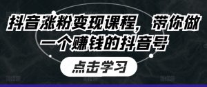 抖音涨粉变现课程，带你做一个赚钱的抖音号-最全资源库