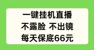 一键挂JI直播，不露脸不出境，每天保底66元【揭秘】-最全资源库