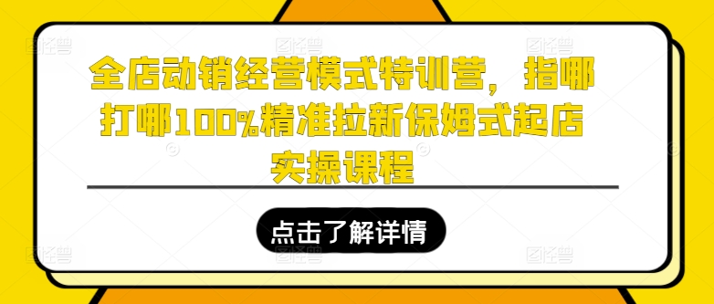 全店动销经营模式特训营,指哪打哪100%精准拉新保姆式起店实操课程-最全资源库