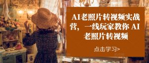 AI老照片转视频实战营,一线玩家教你AI老照片转视频-最全资源库