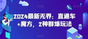 2024最新无界：直通车+魔方，2种群爆玩法-最全资源库