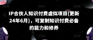 IP合伙人知识付费虚拟项目(更新24年6月)，可复制知识付费必备的能力和修养-最全资源库