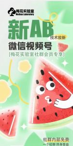 梅花实验室2024年AB技术视频号AB合成破解版-最全资源库