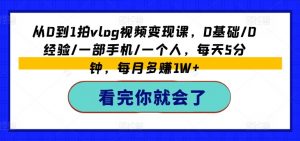 从0到1拍vlog视频变现课,0基础/0经验/一部手机/一个人,每天5分钟,每月多赚1W+-最全资源库