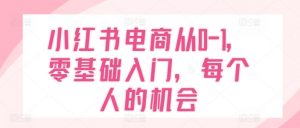 小红书电商从0-1，零基础入门，每个人的机会-最全资源库