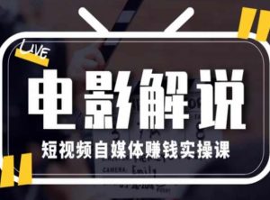 电影解说短视频自媒体赚钱实操课，教你做电影解说短视频，月赚1万-最全资源库