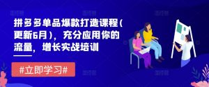 拼多多单品爆款打造课程(更新6月)，充分应用你的流量，增长实战培训-最全资源库