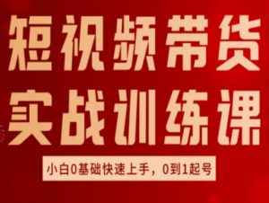 短视频带货实战训练课，好物分享实操，小白0基础快速上手，0到1起号-最全资源库