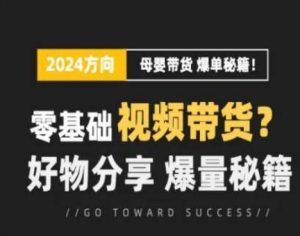 短视频母婴赛道实操流量训练营，零基础视频带货，好物分享，爆量秘籍-最全资源库