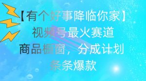【有个好事降临你家】视频号爆火赛道，商品橱窗，分成计划，条条爆款【揭秘】-最全资源库