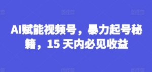 AI赋能视频号，暴力起号秘籍，15 天内必见收益【揭秘】-最全资源库