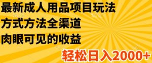 最新成人用品项目玩法，方式方法全渠道，轻松日入2K+【揭秘】-最全资源库