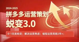 2024-2025拼多多运营策略蜕变3.0，0~1完美蜕变，解决信息焦虑-最全资源库