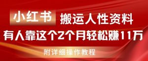 小红书搬运人性资料，有人靠这个2个月轻松赚11w，附教程【揭秘】-最全资源库