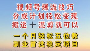 视频号爆流技巧，分成计划轻松变现，搬运 +混剪就可以，一个月轻松五位数稳定项目【揭秘】-最全资源库