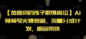【恭喜你的孩子取得高位】AI视频号火爆赛道，流量分成计划，橱窗带货【揭秘】-最全资源库