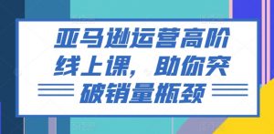 亚马逊运营高阶线上课，助你突破销量瓶颈-最全资源库