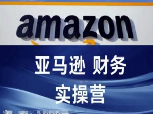 亚马逊财务核算实操营-亚马逊跨境电商教程-最全资源库
