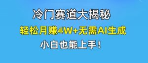 冷门赛道大揭秘，轻松月赚1W+无需AI生成，小白也能上手【揭秘】-最全资源库