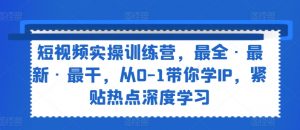 短视频实操训练营,最全·最新·最干,从0-1带你学IP,紧贴热点深度学习-最全资源库