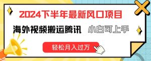 2024下半年最新风口项自，海外视频搬运腾讯，小白可上手，轻松月入过万【揭秘】-最全资源库