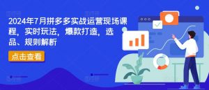 2024年7月拼多多实战运营现场课程，实时玩法，爆款打造，选品、规则解析-最全资源库
