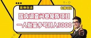 国内调查问卷矩阵项目,一人批量多号月入3000【揭秘】-最全资源库