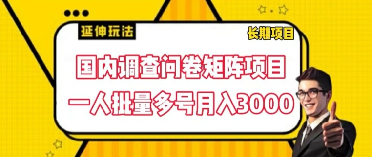 国内调查问卷矩阵项目,一人批量多号月入3000【揭秘】-最全资源库