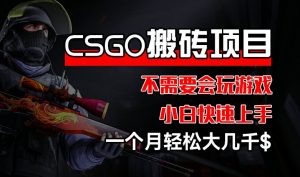 CSGO 装备搬砖项目，操作简单，不需要会玩游戏，小白也能快速上手，一个月轻松大几千【揭秘】-最全资源库
