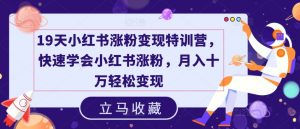 19天小红书涨粉变现特训营，快速学会小红书涨粉，月入十万轻松变现-最全资源库