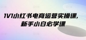 1V1小红书电商运营实操课,新手小白必学课-最全资源库