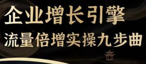 企业增长引擎流量倍增实操九步曲，一套课程帮你找到快速、简单、有效、可复制的获客+变现方式，-最全资源库