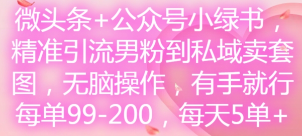 微头条+公众号小绿书,精准引流男粉到私域卖套图,无脑操作,有手就行,每单99-200,每天5单-最全资源库