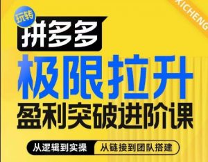 拼多多极限拉升盈利突破进阶课，​从算法到玩法，从玩法到团队搭建，体系化系统性帮助商家实现利润提升-最全资源库
