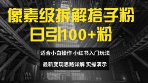 像素级拆解搭子粉，日引100+，小白看完可上手，最新变现思路详解【揭秘】-最全资源库