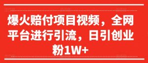 爆火赔付项目视频，全网平台进行引流，日引创业粉1W+【揭秘】-最全资源库