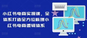 小红书电商实操课，全体系打造全方位梳理小红书电商逻辑体系-最全资源库