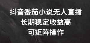 抖音番茄小说无人直播，长期稳定收益高，可矩阵操作【揭秘】-最全资源库