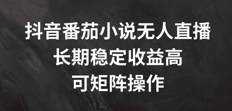 抖音番茄小说无人直播，长期稳定收益高，可矩阵操作【揭秘】-最全资源库
