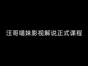 汪哥影视解说正式课程：剪映/PR教学/视解说剪辑5大黄金法则/全流程剪辑7把利器等等-最全资源库