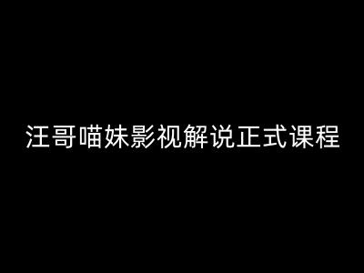 汪哥影视解说正式课程:剪映/PR教学/视解说剪辑5大黄金法则/全流程剪辑7把利器等等-最全资源库