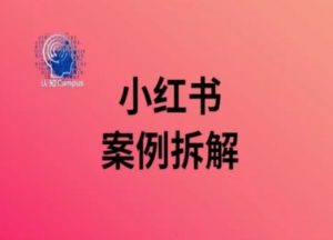 小红书案例拆解，深度解读小红书40万粉-最全资源库