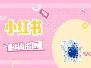 小红书运营指南,没有套路,全是经验-最全资源库