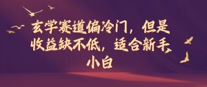 玄学赛道偏冷门，但是收益缺不低，适合新手小白【揭秘】-最全资源库
