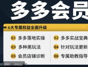 拼多多会员,拼多多实战宝典+实战落地实操,从新手到高阶内容全面覆盖-最全资源库