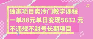 独家项目卖冷门教学课程一单88元单日变现5632元违规不封号长期项目【揭秘】-最全资源库